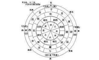 怎么看自己的生辰八字和运势？2023-0