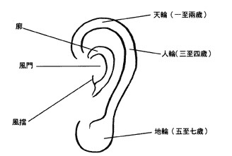 （李向东）耳白与面的大小标准有哪些？