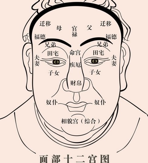 命入元辰什么意思_绳命是剁么的回晃 绳命是入刺的井猜_红鸾桃花入命啥意思