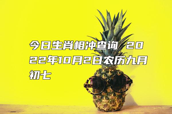 2022年1月25日冲什么生肖，今日属什