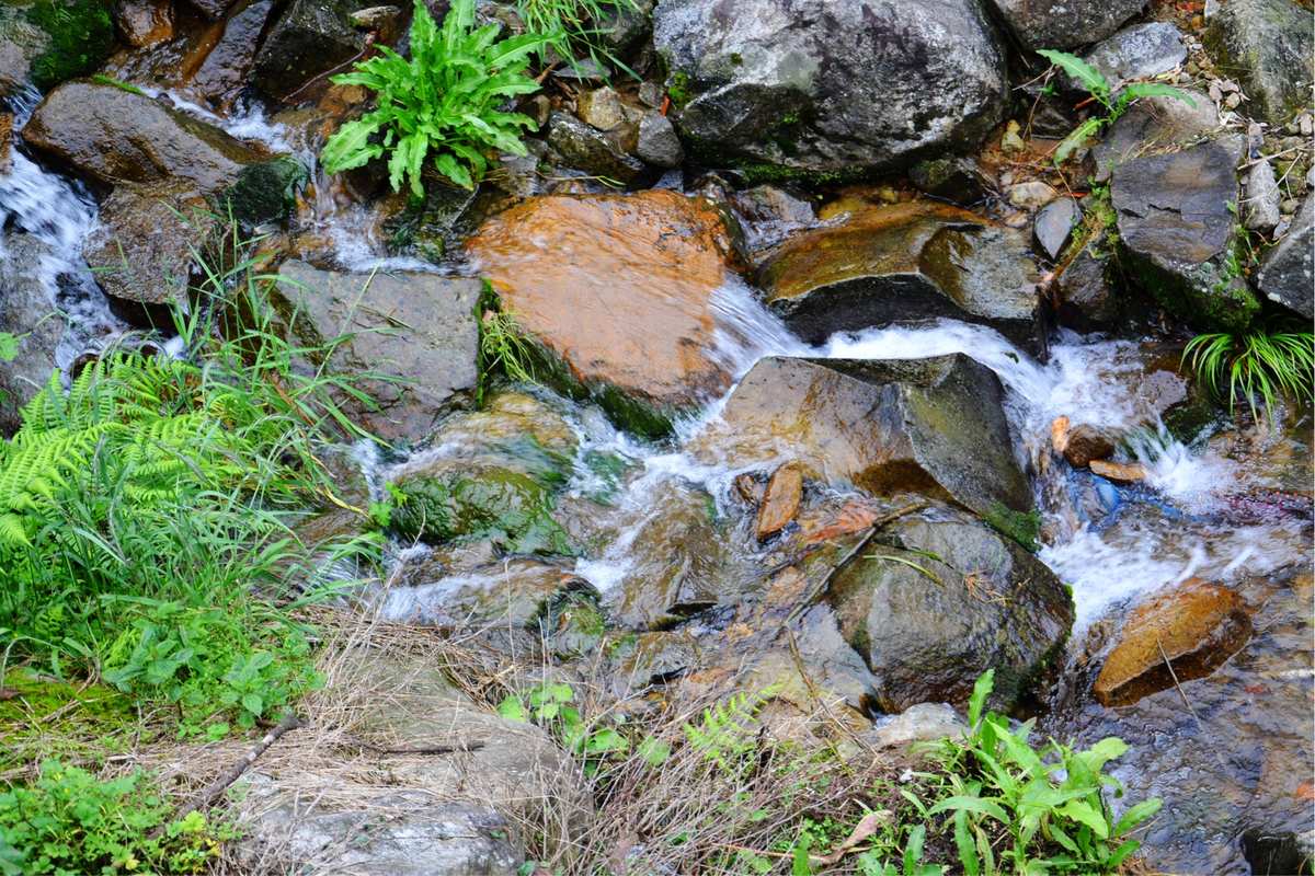 太溪水 听一村佤乡土话宋化传承