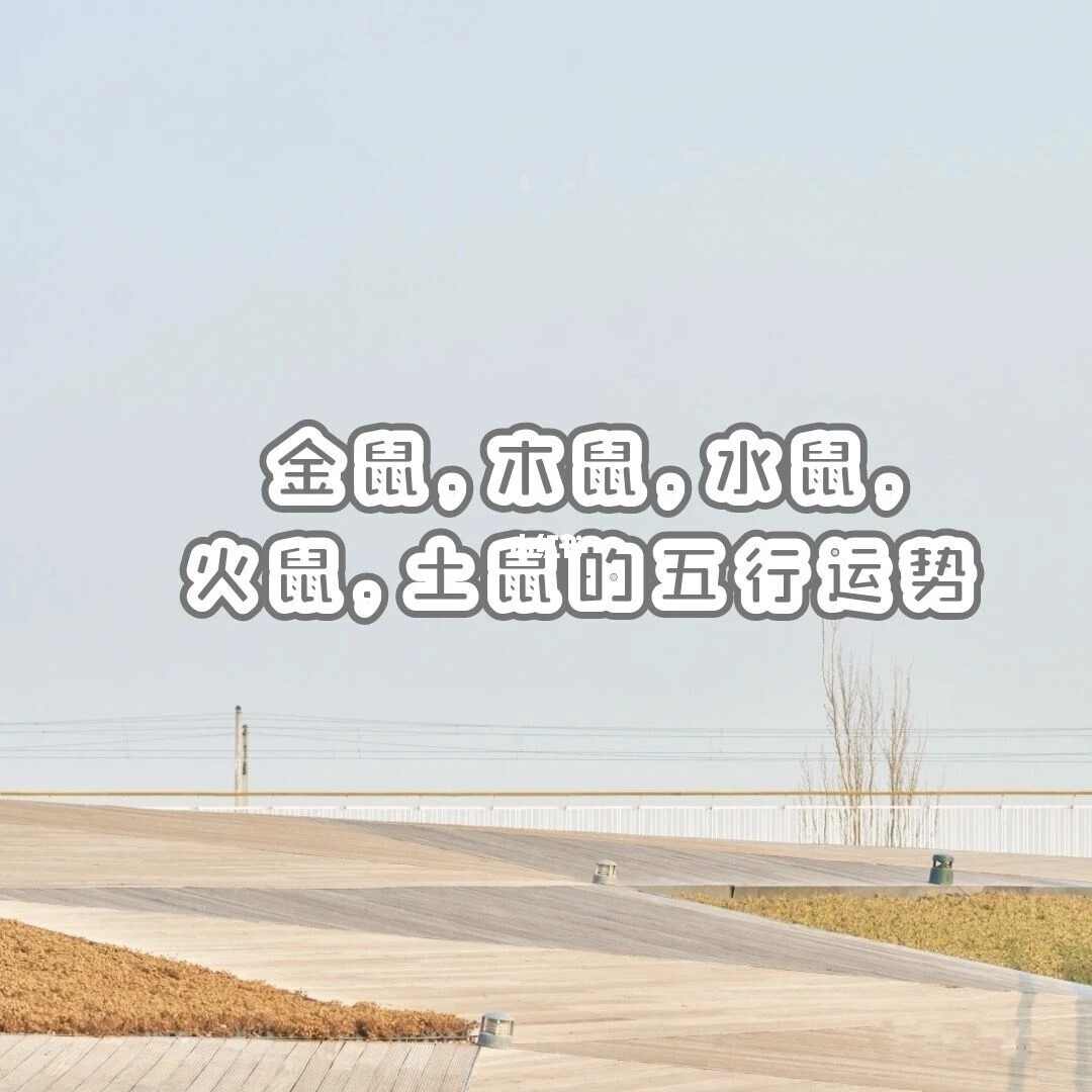 2020鼠壁上土命是什么意思_2020年壁上土命梁上之鼠_壁上土命好吗属鼠