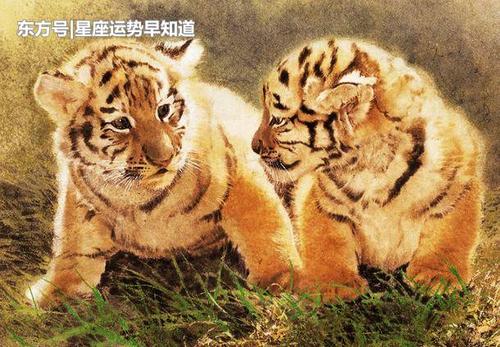 1962年1月出生的人属相为虎，你知道吗