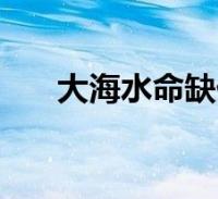 大海水命年份_大海水命一生命运_82年大海水命人的命运