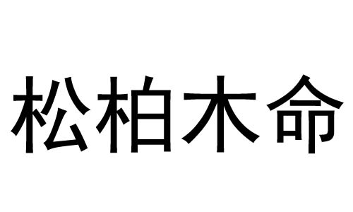 松柏木命和松柏木命结合好吗_松柏木命配什么命最好_松柏木命和什么命配