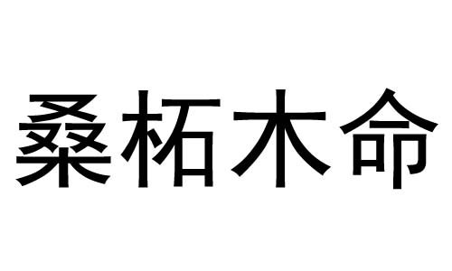 炉中火路旁土夫妻_路旁土命与炉中火命_炉中火和路旁土命