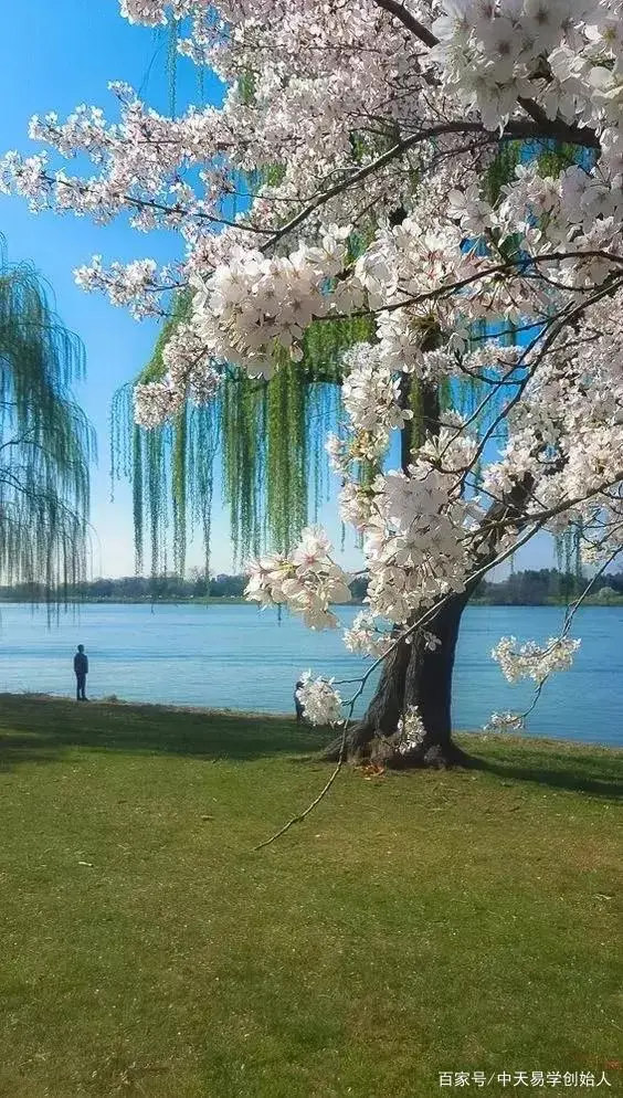 流年丙子命是什么意思_流年丙子印才是什么意思_丙子流年