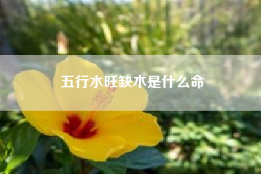 五行水旺缺木是什么命（此命五行水旺；日主天干为金；必须有水助，但忌木太多。）