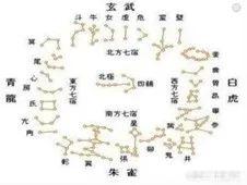 四象朱雀图腾_朱雀图腾是哪个部落的_图腾朱雀四象图片