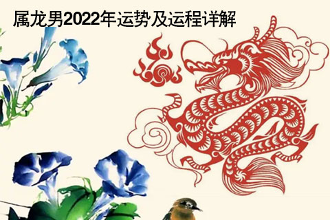 2020年属龙太岁怎么化解_龙今年运势2019太岁_2020年属龙太岁