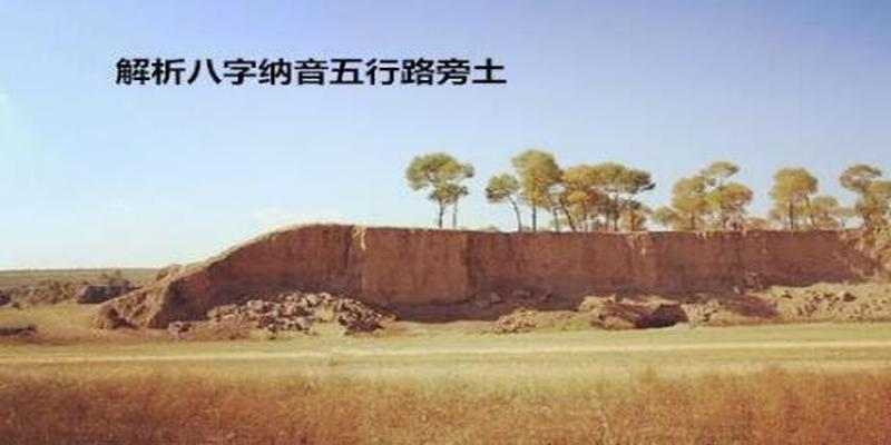 五行大驿土是什么生肖_五行大驿土_五行大驿土命是什么意思