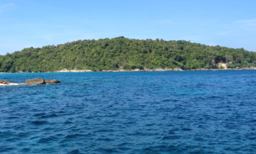 大海水命与桑柘木命合不合_大海水命和桑柘木命_桑拓木命和大海水