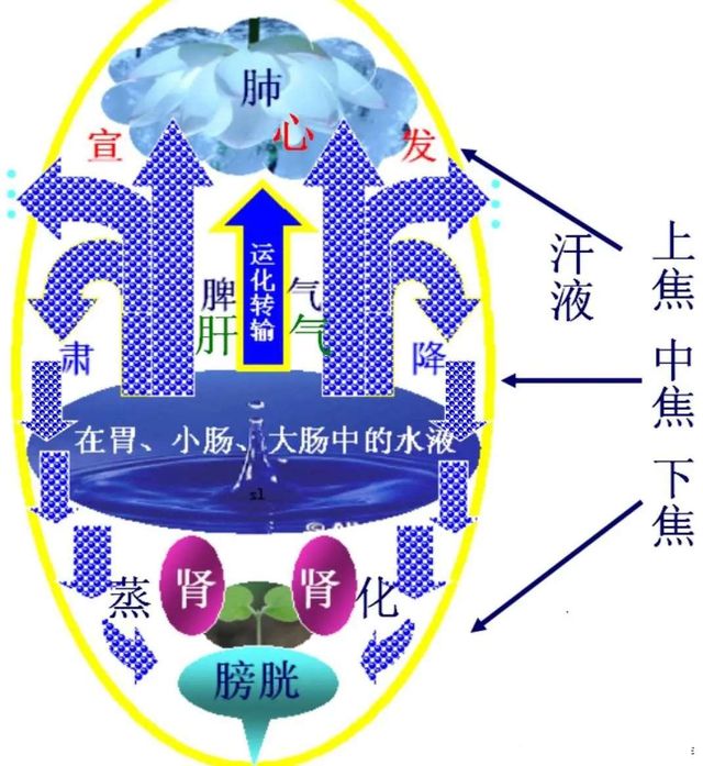 八字如何判断阴阳两虚_如何判断八字阴阳_八字阴阳如何看