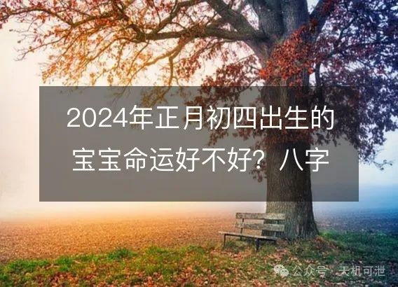 2024年正月初四出生的宝宝是什么命