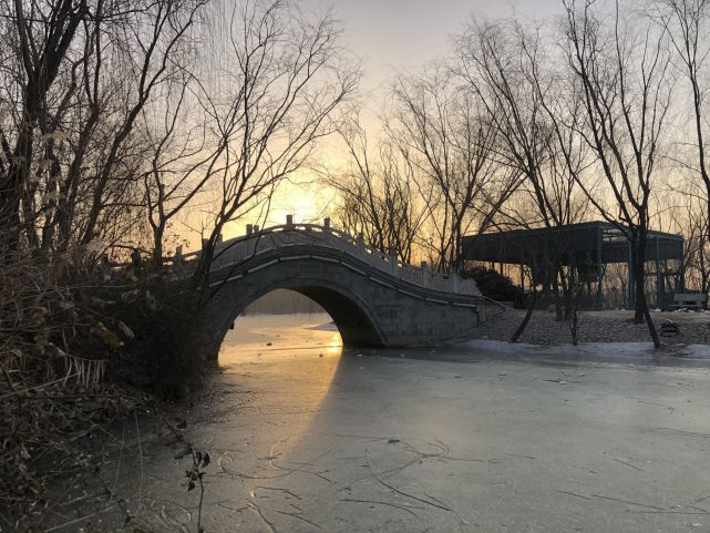 辛酉属于什么命_辛酉日什么意思_八字辛酉什么意思